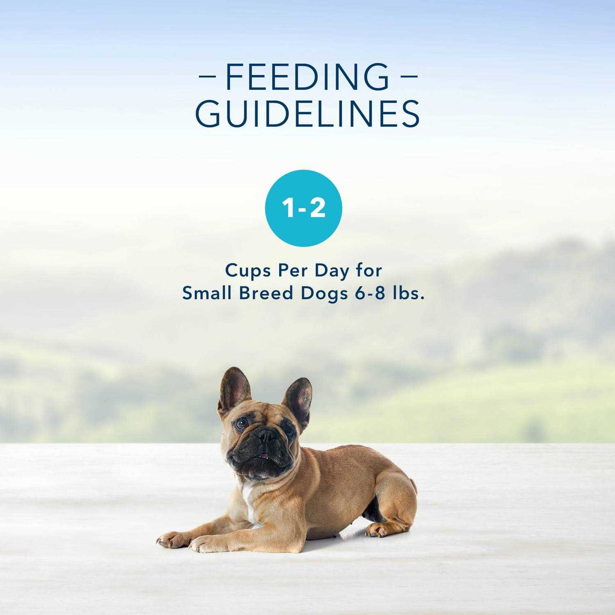 Grilled Chicken Flavor Pate Small Breed Dog Food J394480