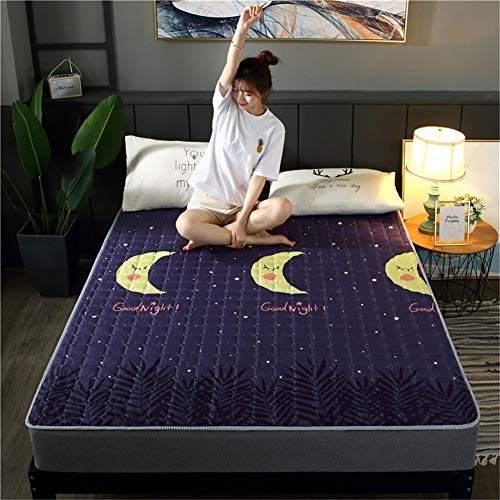Non-slip Quilting Double Mattress Pad Futon Mattress 100x200cm F1011