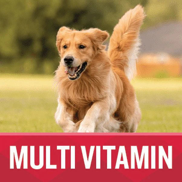 Soft Chews Dog Supplement 7.4 oz 60 Count J78647