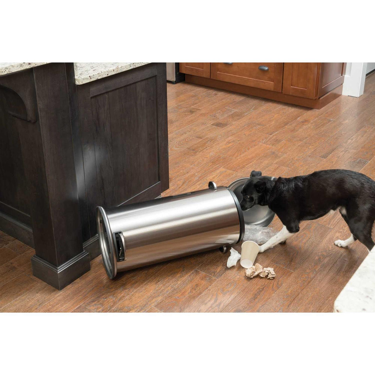 Smart Dog Trainer L40010
