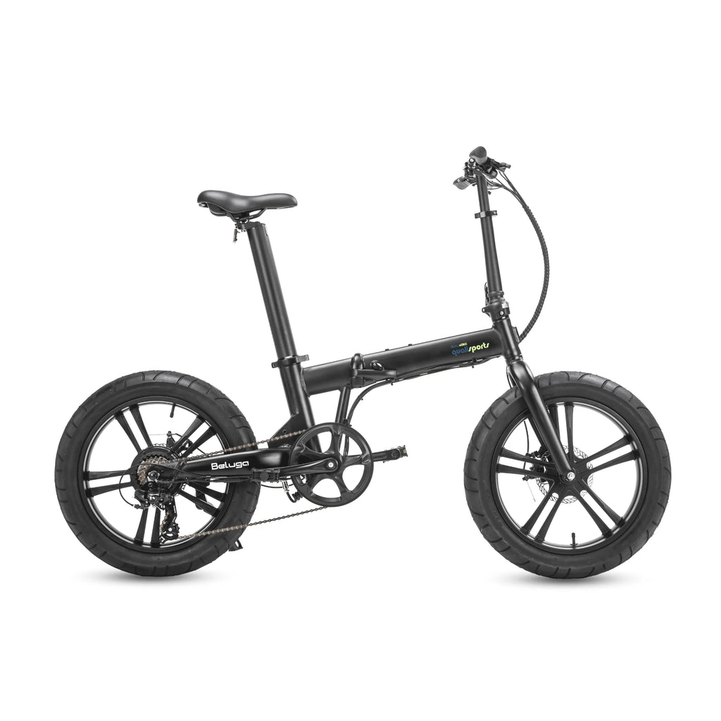 Foldable 500W Fat Tire Electric Bicycle Y9900