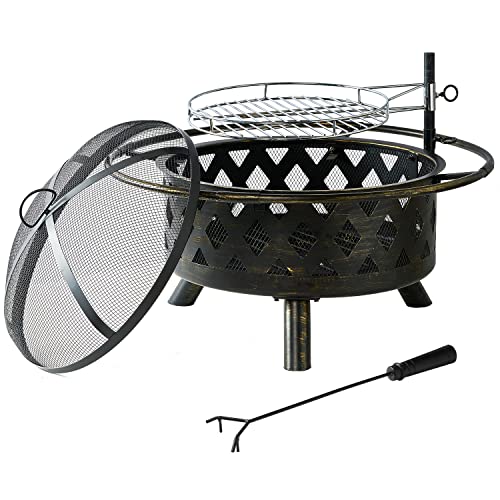 2 in 1 Wood Burning Fire Pit with Mesh Spark Screen Doors Y6119