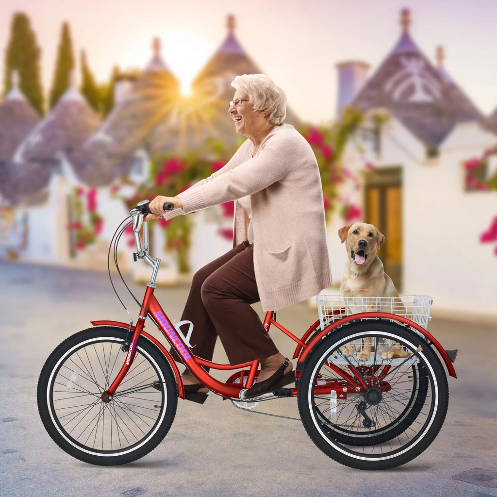 Adult Tricycles 3 Wheel 7 Speed Trikes with Basket X263