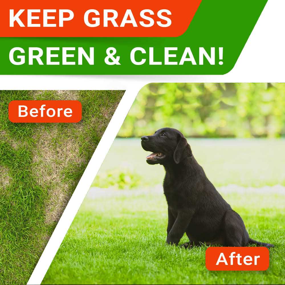 Grass Burn Spot Chews for Dogs S724244