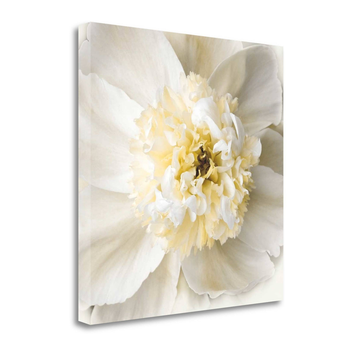 Giclee Print on Gallery W J45532