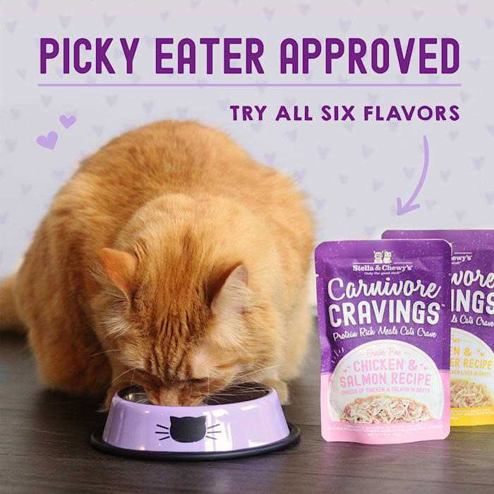 Chicken Recipe Cat Food V95554