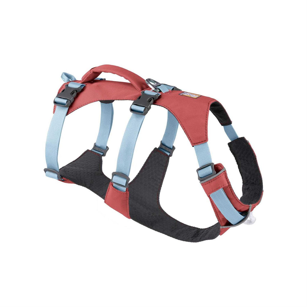 Harness L6976