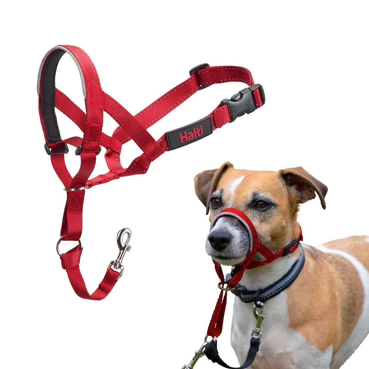 Dog Headcollar V176917
