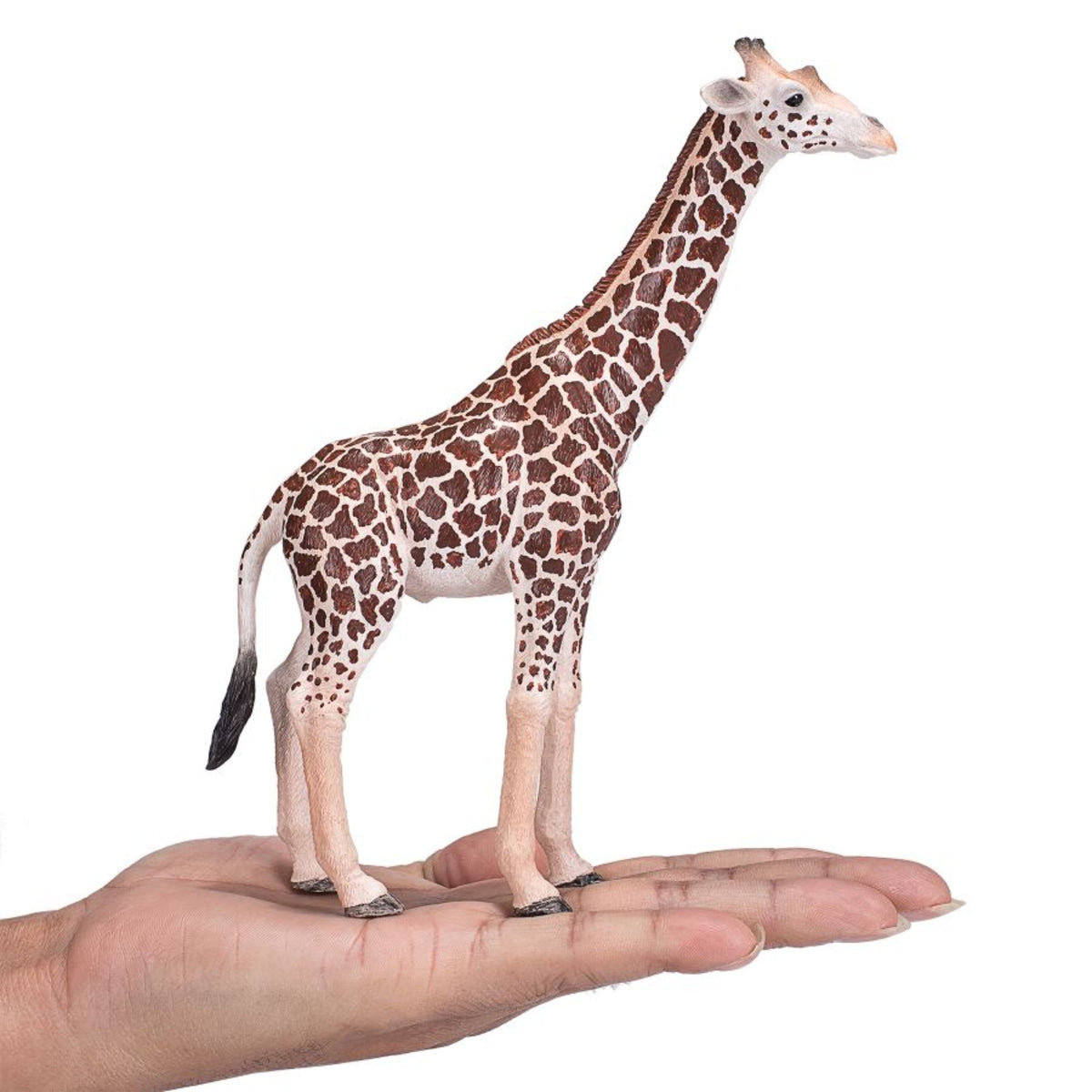 Realistic Giraffe Wildlife Figurine K796