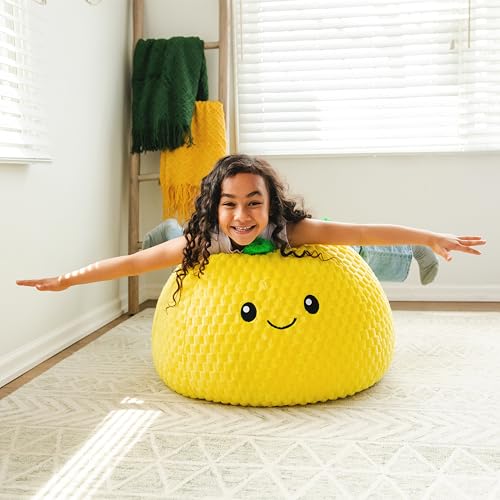 Classic Bean Bag Chair, Sapphire Smartmax, 2 feet Round V309
