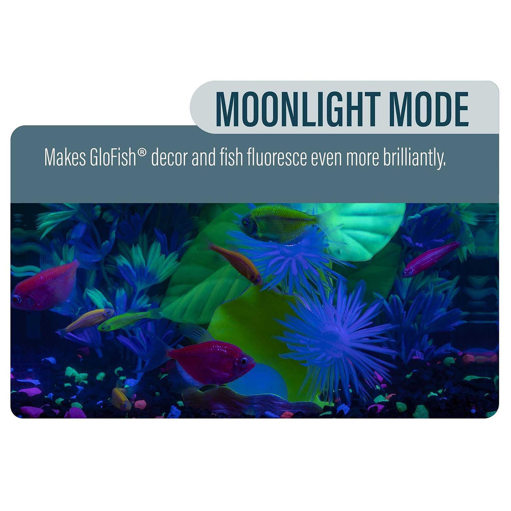 Aquarium Kit J9545