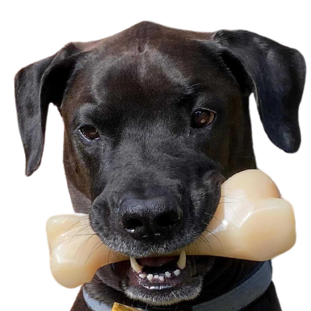 Big Chew Beef Bone A494