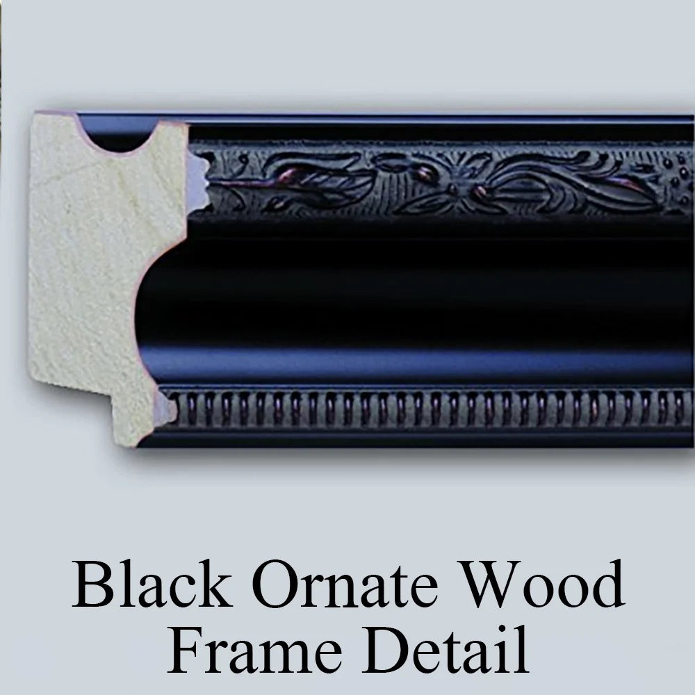 Black Ornate Framed Double Matted Museum Art Print A6435