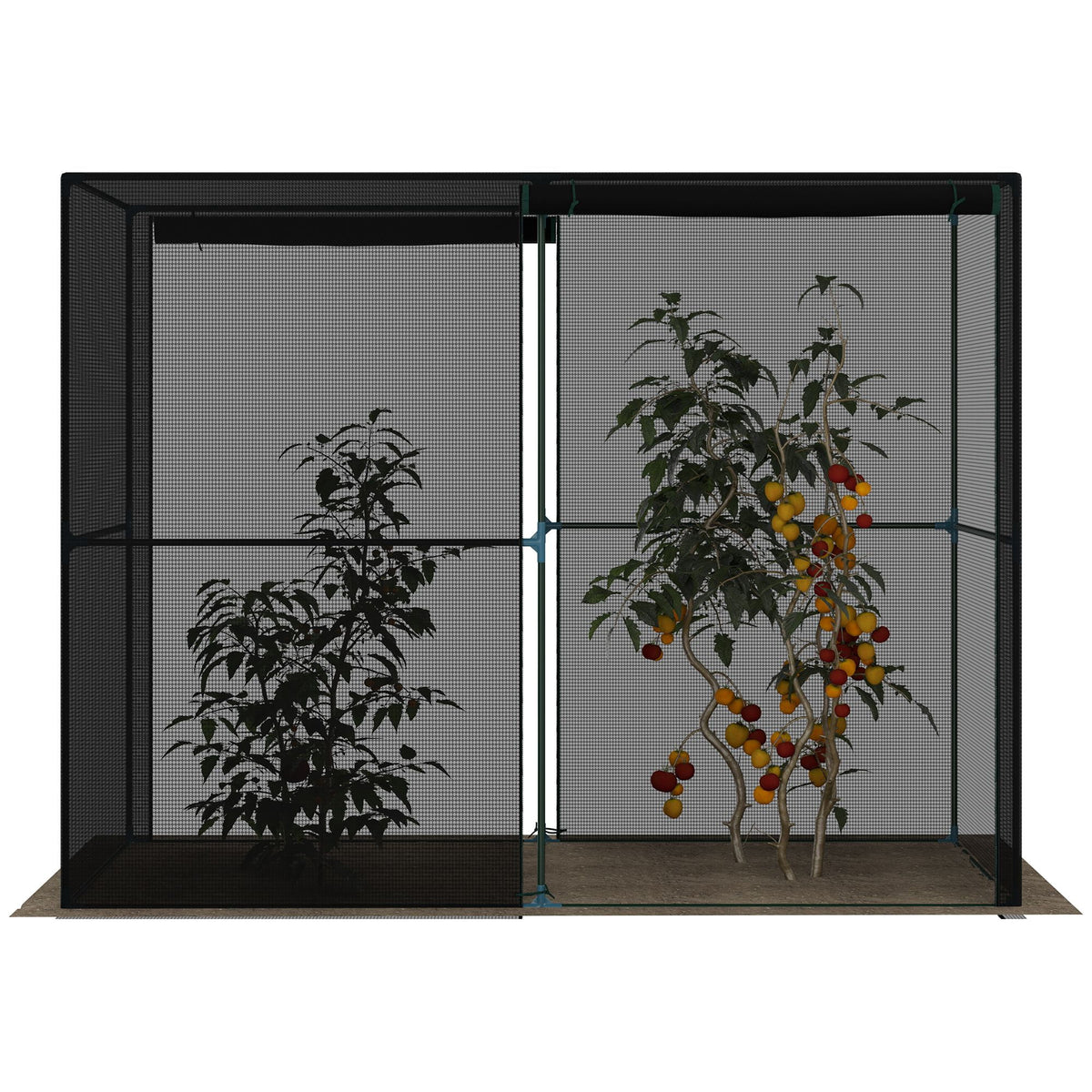 Outdoor Walk-in Crop Cage with HDPE Cover R3667