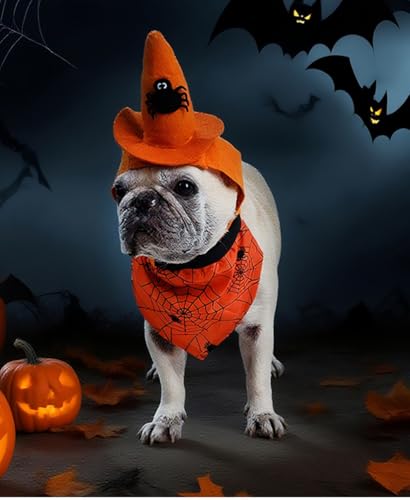 Dog Halloween Costumes 2Pcs Set Witch Hat and Bandana Black W505149