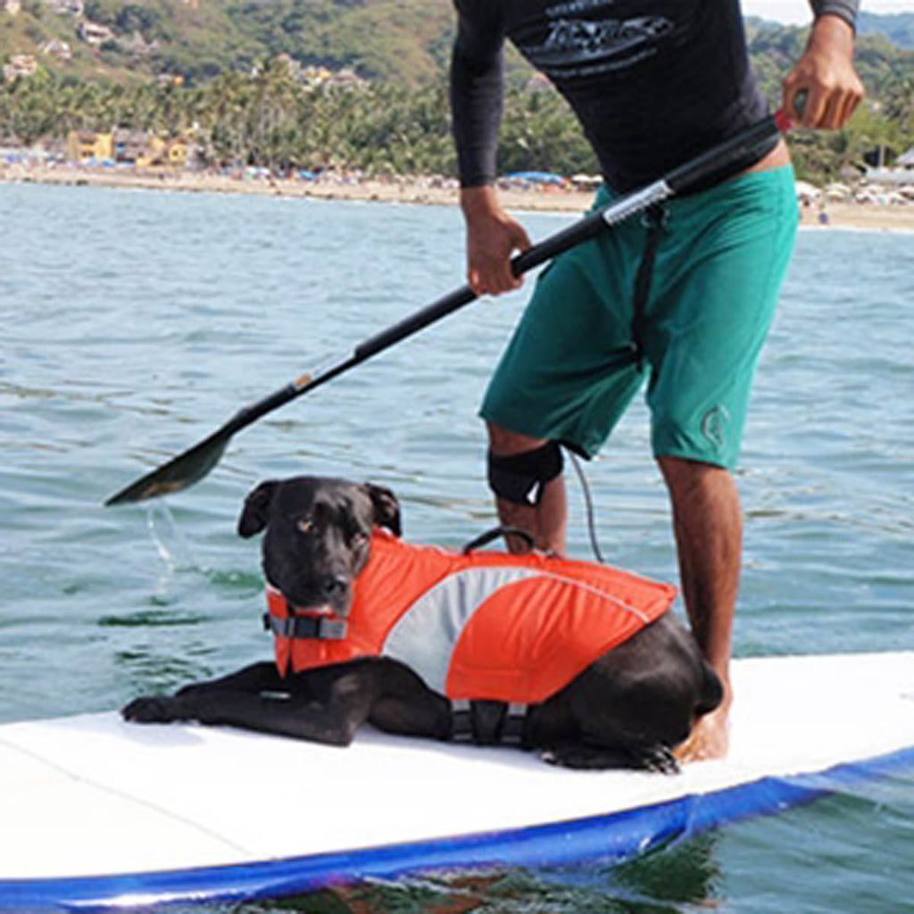 Canine Life Jacket B49889