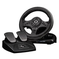 Racing Wheel with Pedals & Shifter U6263