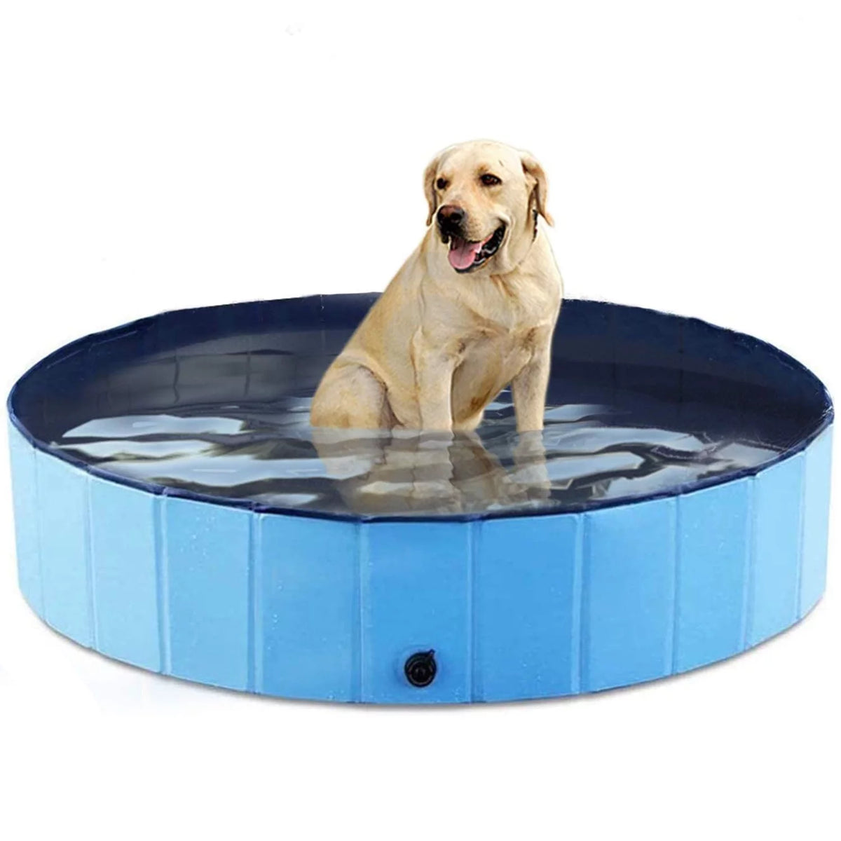 48 x 12 inch Collapsible Blue Pet Pool Z4363