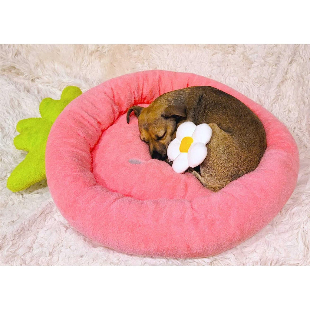 Soft Plush Small Dog Cat Bed K566