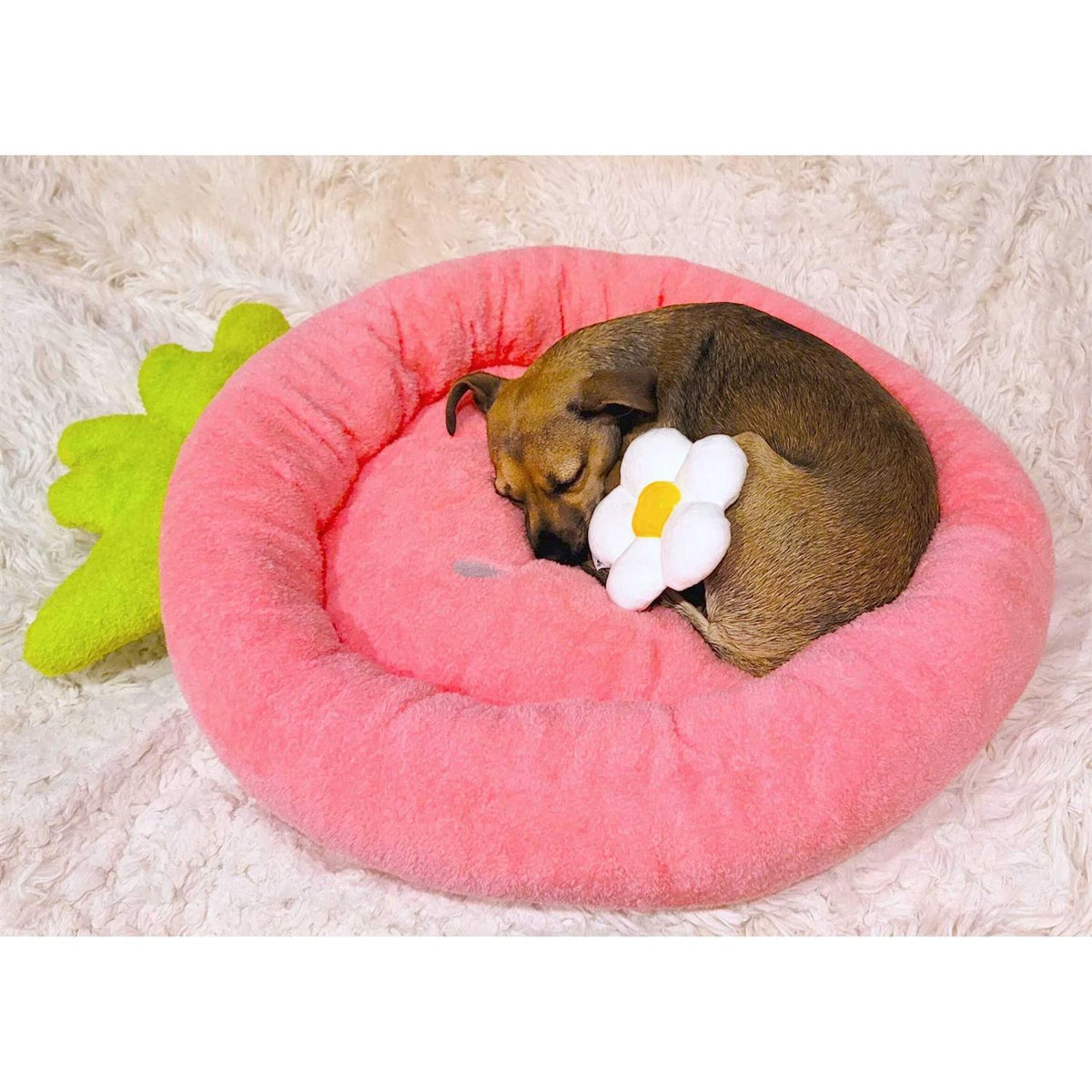 Soft Plush Small Dog Cat Bed K566