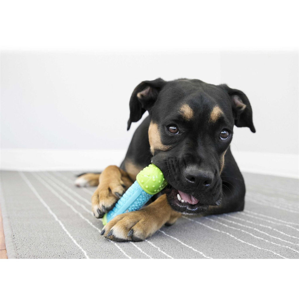 Ball Dog Toy F99996