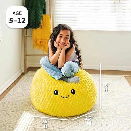 Classic Bean Bag Chair, Sapphire Smartmax, 2 feet Round V309