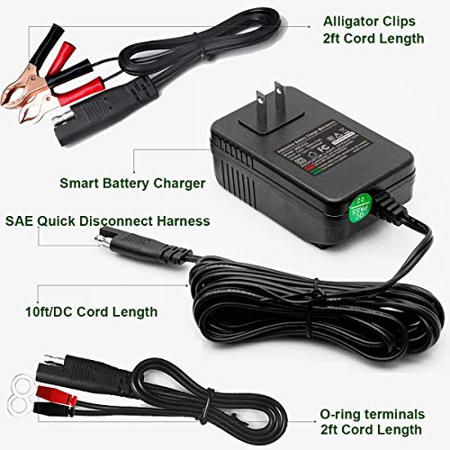 12V 2A Automatic Trickle Battery Charger Smart Battery Maintainer P6460
