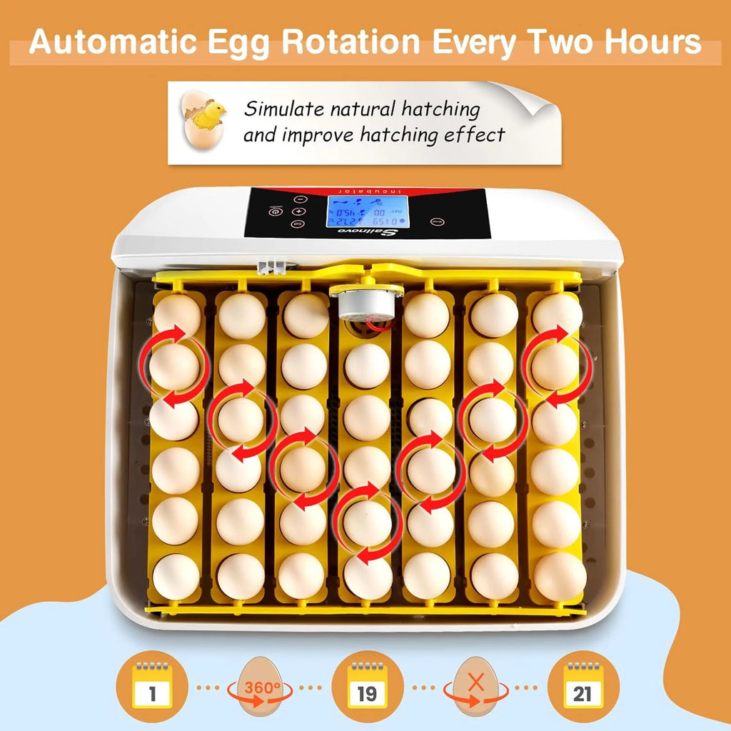 Automatic Egg Incubator with 42 Hatching Chicks D208845