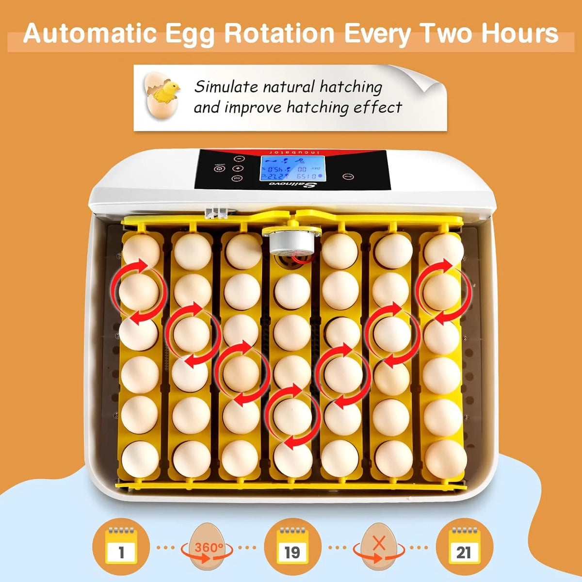 Automatic Egg Incubator with 42 Hatching Chicks D208845