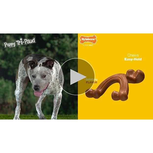 Big Chew Beef Bone A494