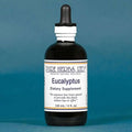 Eucalyptus Z98531