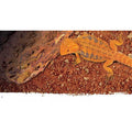 Stone Desert Substrate H875