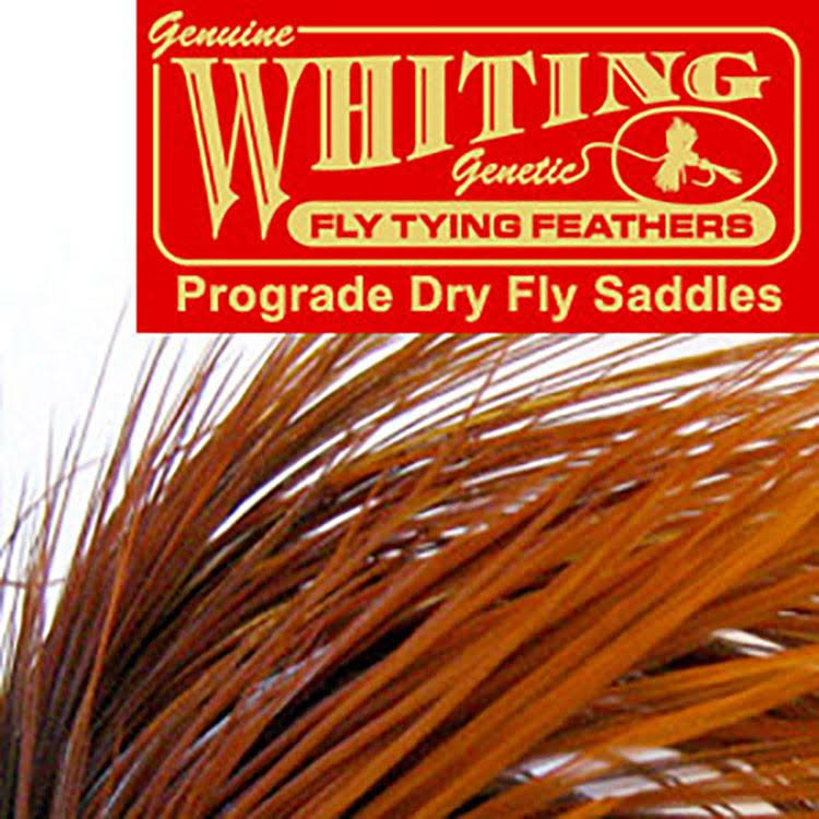 Full Saddle Y838306