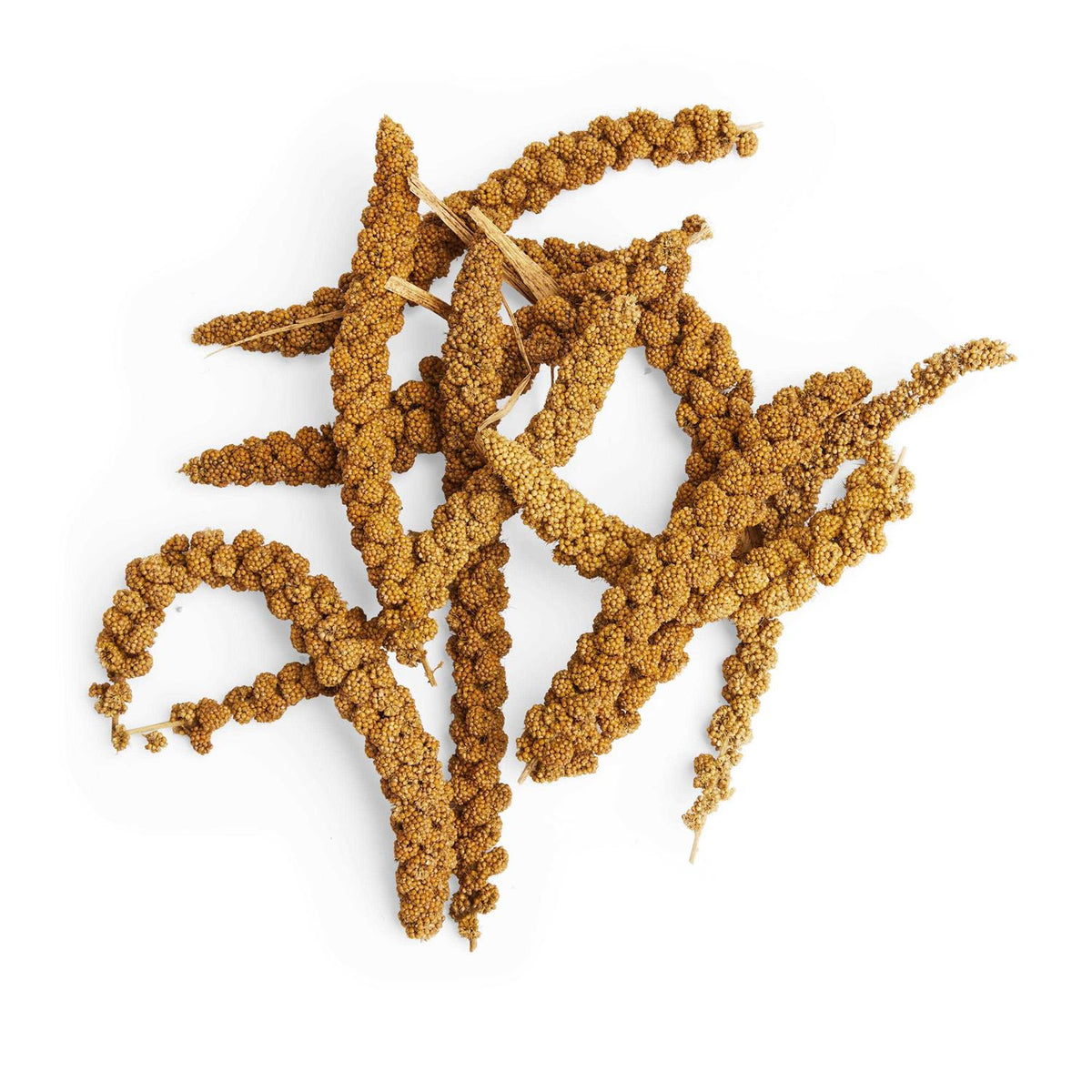 Spray Millet Pet Supplies X92287