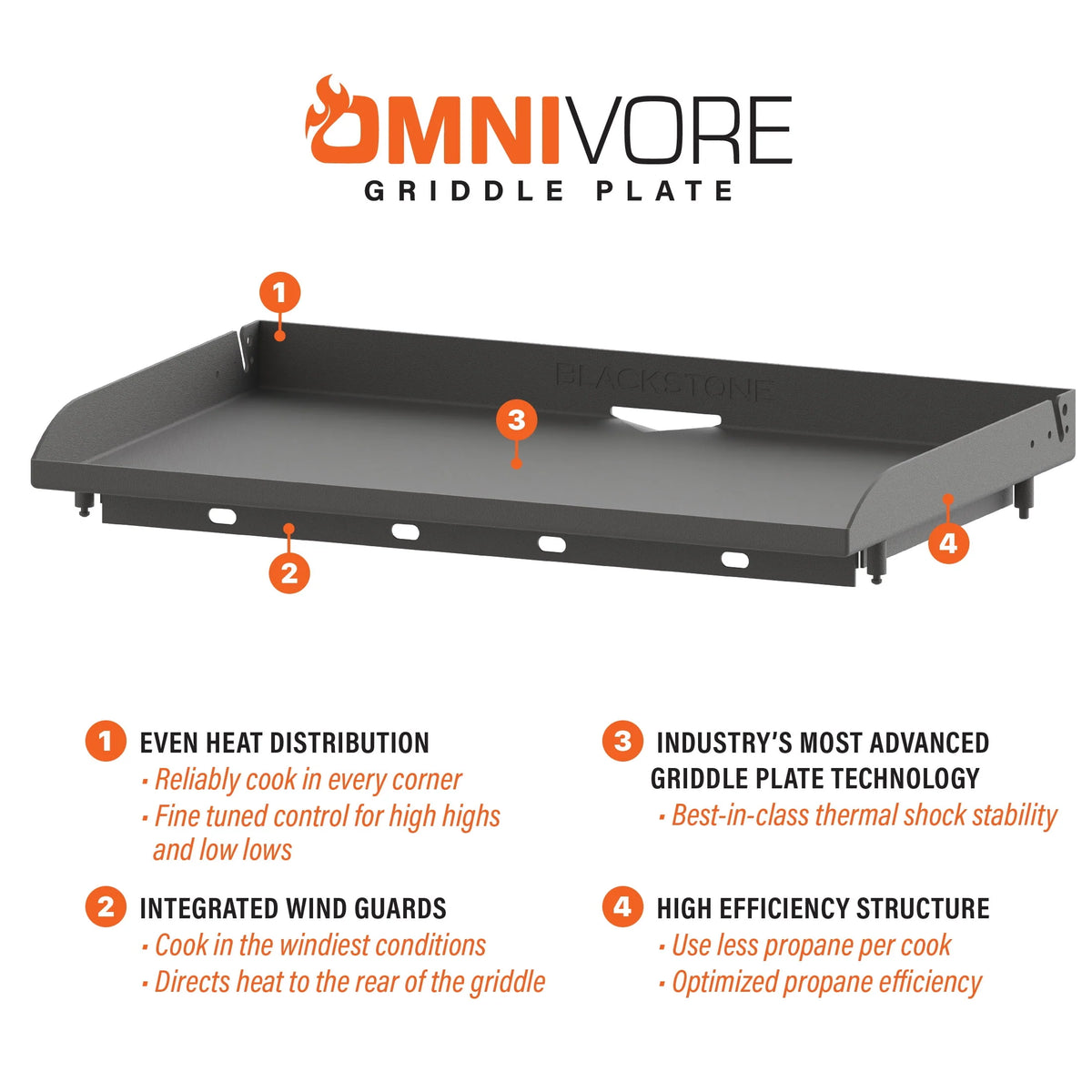 4-Burner 36” Propane Griddle with Hood R4113