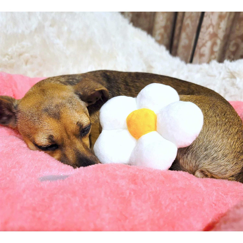 Soft Plush Small Dog Cat Bed K566
