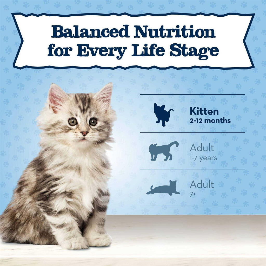 High Protein Natural Dry Kitten Food C144
