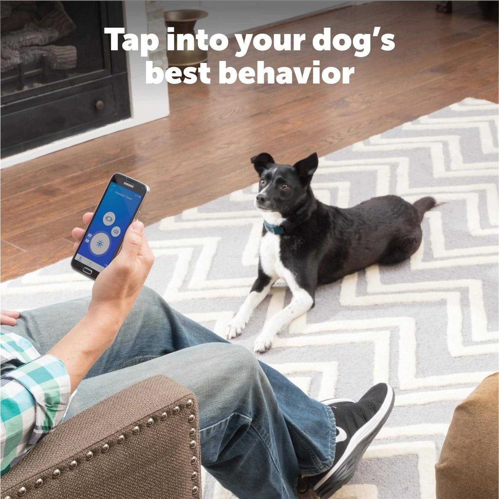 Smart Dog Trainer L40010