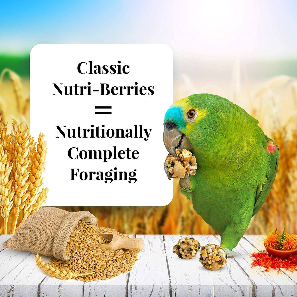 Classic Nutri-Berries Parrot Food - 20 lbs A915