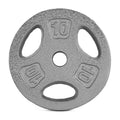 10 lb Standard 1-inch Grip Weight Plate R2322