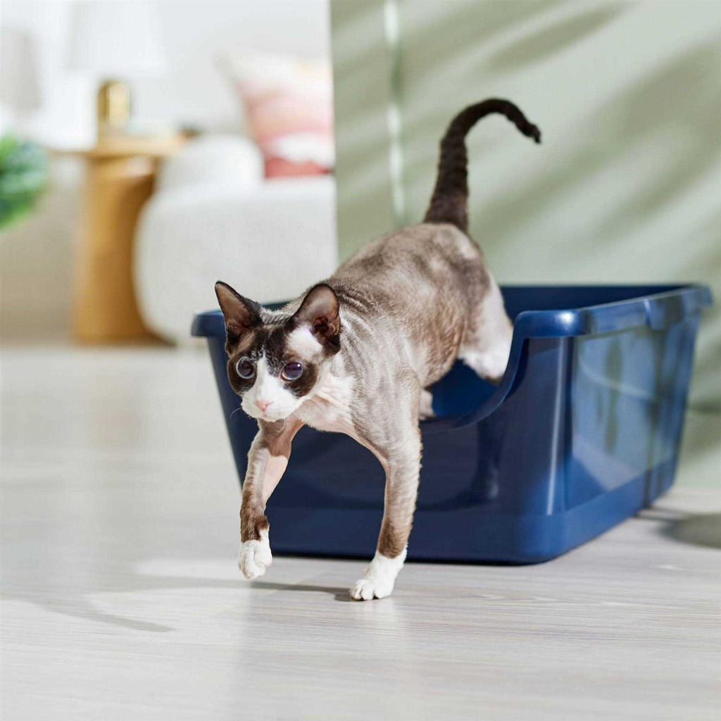 High Sided Cat Litter Box L9608