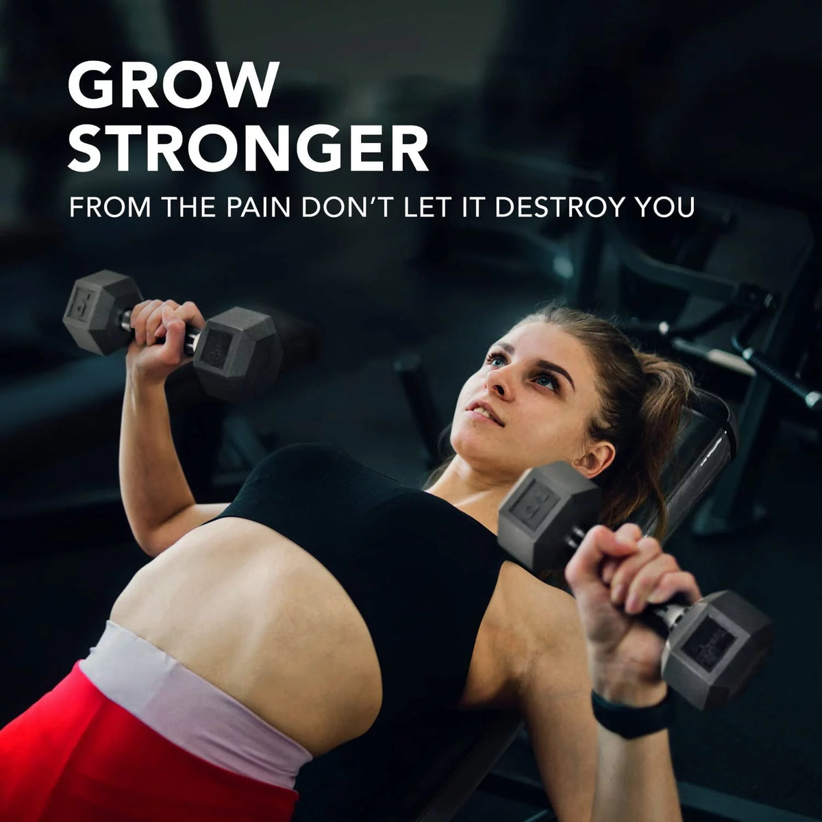50 lbs Hex Rubber Grip Dumbbell J681
