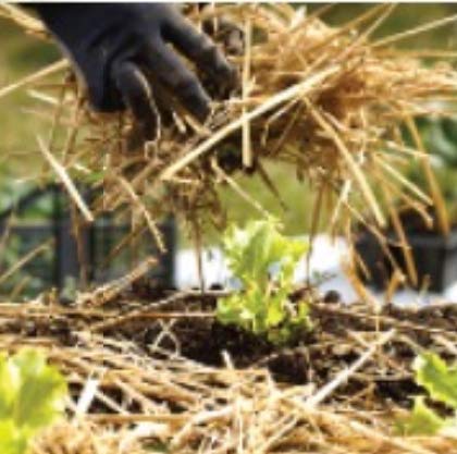 120 sq. ft. Organic Straw Mulch Cover Z823