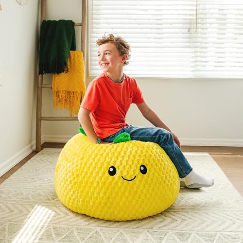 Classic Bean Bag Chair, Sapphire Smartmax, 2 feet Round V309