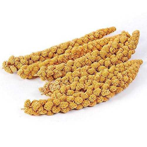 Spray Millet Pet Supplies X92287