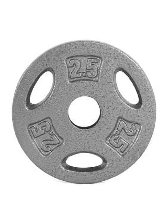 10 lb Standard 1-inch Grip Weight Plate R2322