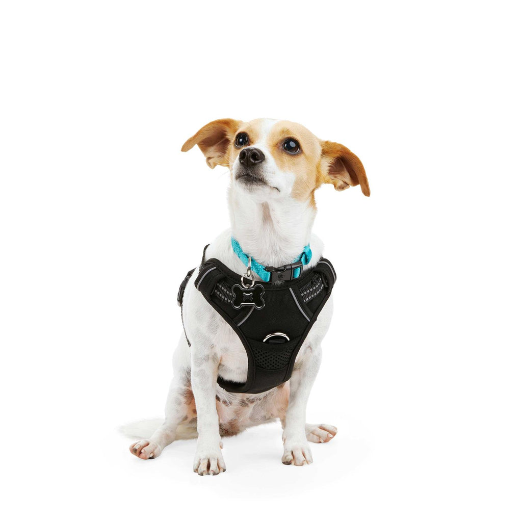 Black Front Walking Dog Harness D191