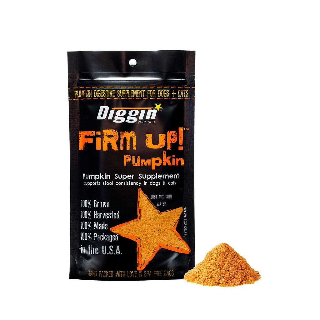 Pumpkin Supplement U337378