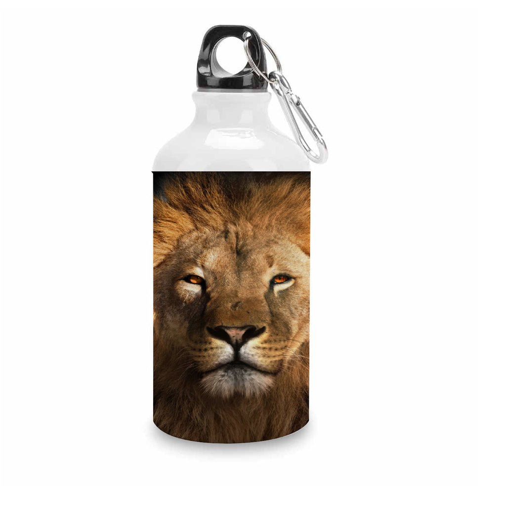 400ml Sport Aluminum Water Bottle with Twist Cap O715