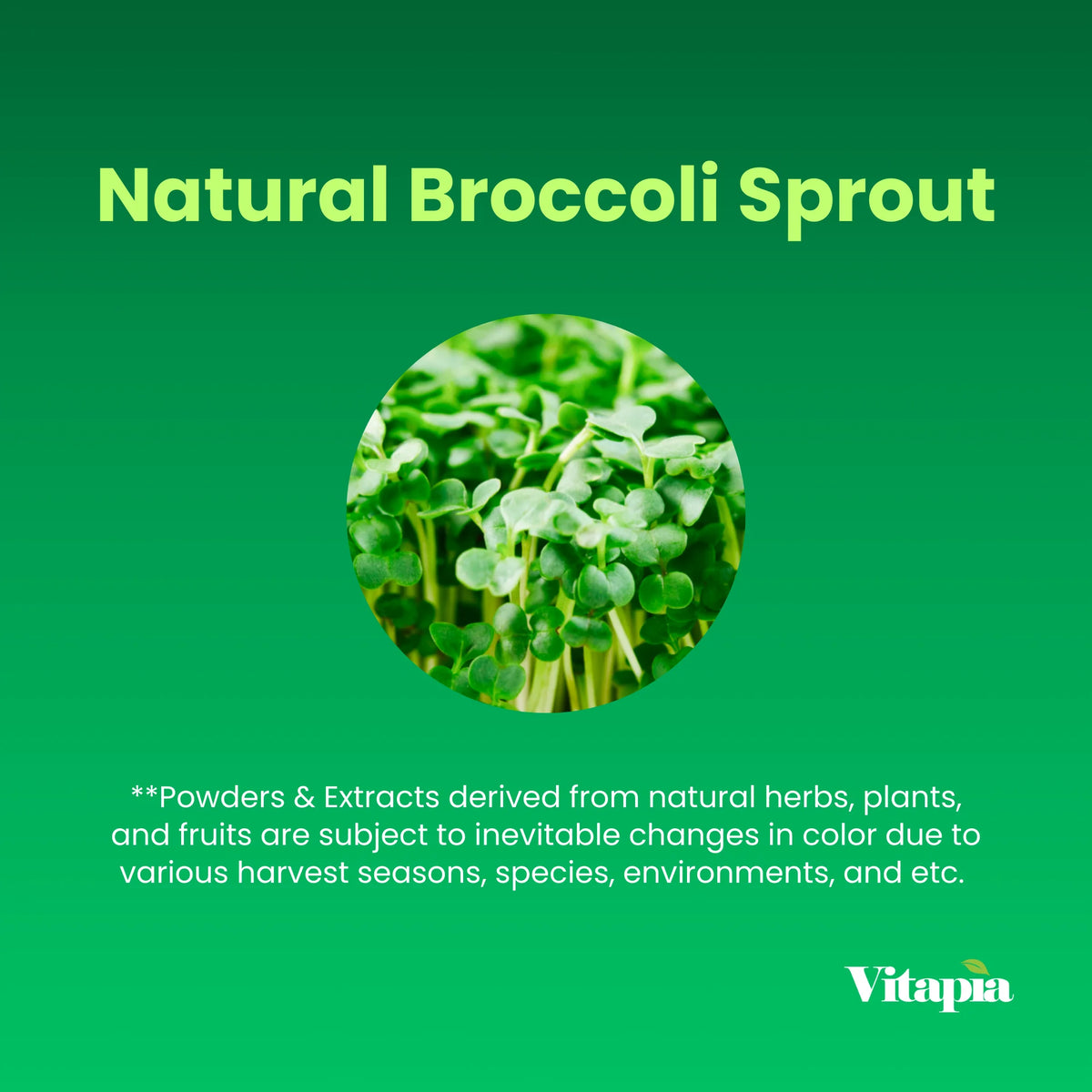 Organic Broccoli Sprout Powder, Non GMO, Gluten Free, 33 Servings Z866391